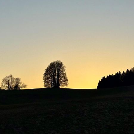 Appartement Neuf 2 Pieces 43M2 "Les Cimes" La Chaux Neuve Esterno foto